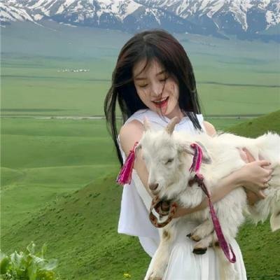 地狱担保人